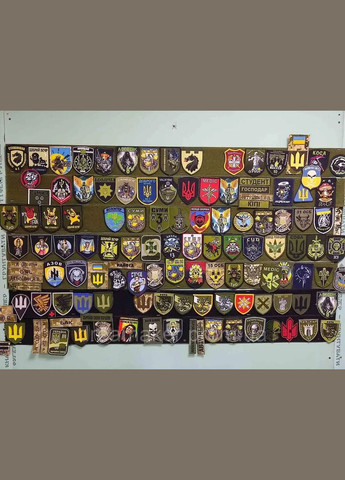 Шеврон 61 Окрема Піхотна Степова Бригада Україна ТД (364194098)