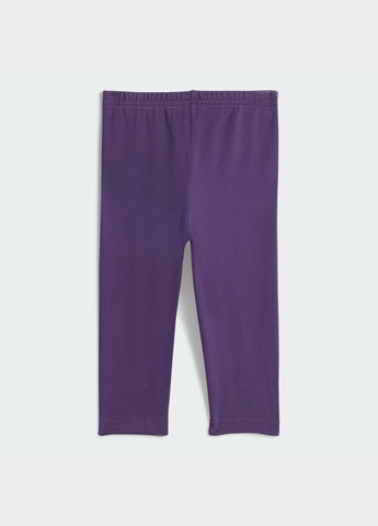 Комплект: свитшот и леггинсы Girls Everyday Glam Kids adidas (372461630)