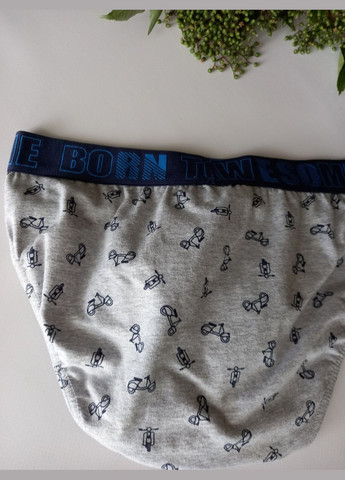 Чоловічі труси сліпи з широкою гумкою 943 розмір Л Lama (368787723)