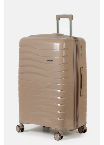 Большой пластиковый чемодан 2025-05-1KH Three Birds (370944565)