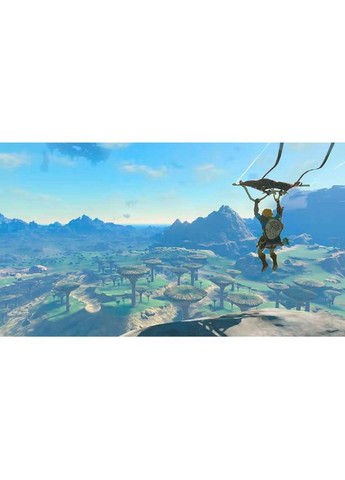 Игра The Legend of Zelda Tears of the Kingdom для Switch Nintendo (347175743)