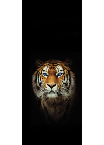 Наклейки на стійки дверей авто ARB 3D TUNING STUDIO Тигр 500х220х0.15мм=2штуки AR-CO (362500157)