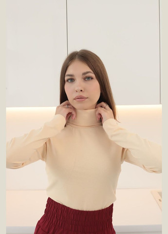 Водолазка жіноча приталена з високим коміром однотонна HC (h001-8047-040) No Brand (301579002)