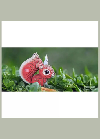 Сборная 3D модель Зоопарк Белка (XEG-083) Eugy (333252813)