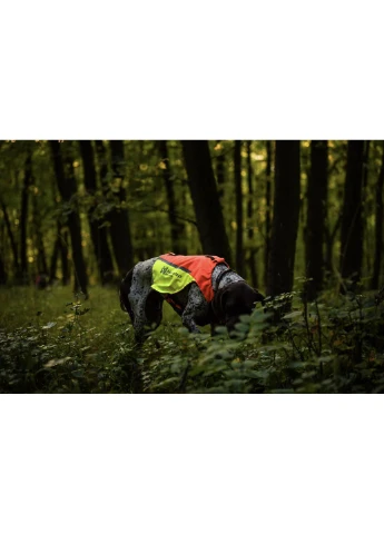 Жилет для собак Protector vest 2.0 Помаранчевий M Non-stop dogwear (391435386)