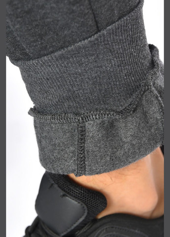 Спортивні штани чоловічі на флісі темно-сірого кольору Let's Shop (306426797)