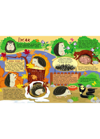 Книга Тайная жизнь маленьких животных. Автор - Яна Хоменко, Светлана Тихова ( ) РАНОК (362971281)