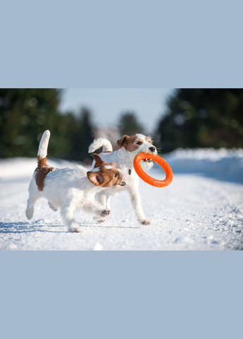 Кільце для апортування 20 д-20 см Жовтогаряче PitchDog (315598989)