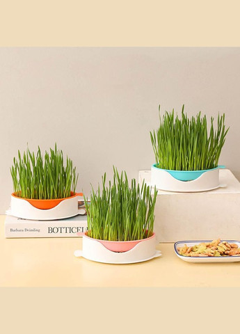 Лоток для гідропонного вирощування мікрозелені та розсади у формі риби помаранчевий (NR0174_3) No Brand (303898391)