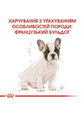 Сухой корм French Bulldog Puppy для щенков породы Французский бульдог 1 кг Royal Canin (289391149)