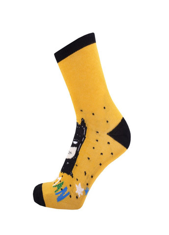 Набор (5 шт) детских носков Duna 5408_5 (305403996)