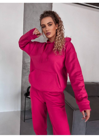 Теплый костюм из тринитки на флисе No Brand (369249478)