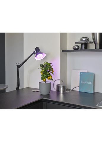 Світлодіодна лампа для рослин T60 10W E27 – LED-освітлення для росту та цвітіння Osram (371875566)