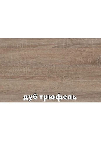 Шафа-купе дводверна Комфорт Меблі 150*60*220 см Трюфель ДСП + Дзеркало Максі Комфорт Меблі (360451940)