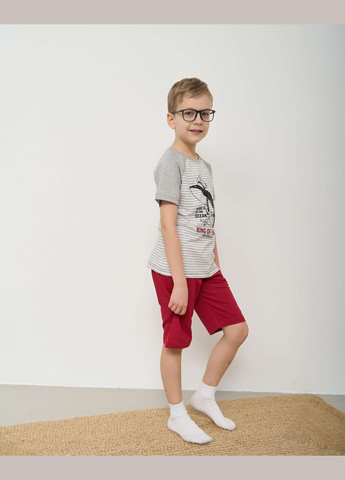 Светло-серая комплект для мальчика с шортами Ozkan