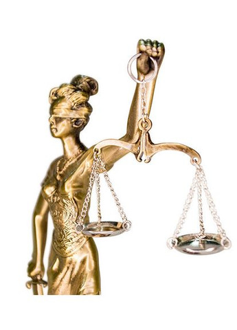 Турбіна No Brand (346528670)