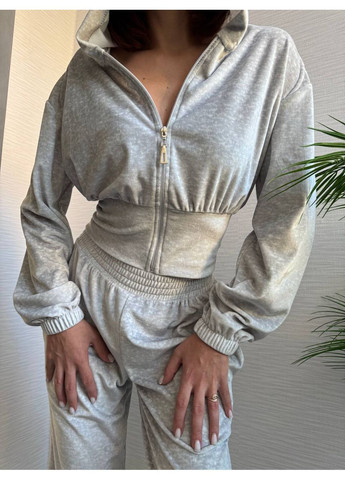 Жіночий спортивний костюм велюр-плюш No Brand Р4939-691/3 (376329059)