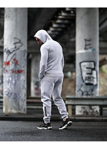 Чоловічий спортивний костюм на флісі Puma No Brand (364196614)