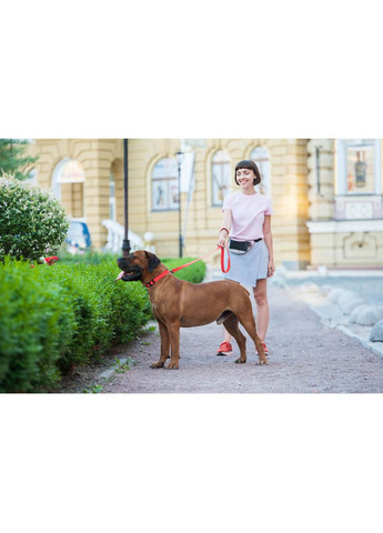 Поводок для собак водостойкий Waterproof, L-XXL, Ш 25 мм, Длинна 183 см красный WAUDOG (322641946)