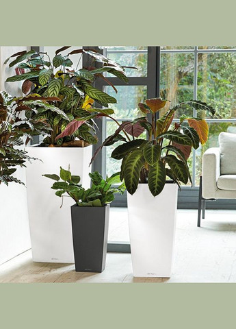 Вазон Сubico 30, чорний блискучий (A-013692) Lechuza (317268864)