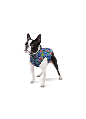 Курточка для собак WAUDOG Clothes рисунок "Инжир",, В 77-80 см, С 50-55 см Collar (363058020)