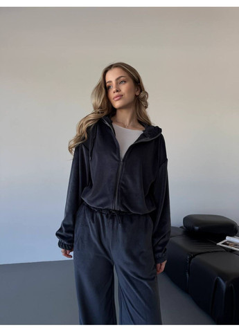 Женский велюровый костюм с начесом No Brand (366431363)