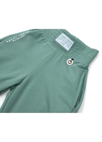 Мятные демисезонные брюки A-yugi