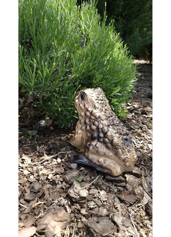 Садовая фигура, декор для сад Жаба земляная No Brand (353314255)