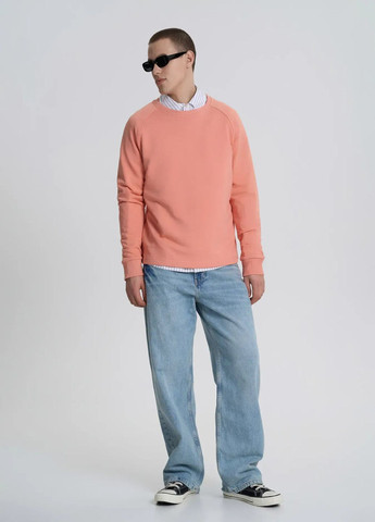 Коралловый свитшот мужской Роза однотонный без декора (338189020)