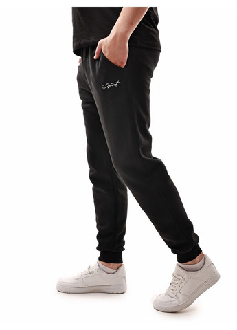 Штани спортивні чоловічі Van Gils (366820481)