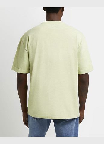 Салатова футболка basic,салатовий, River Island