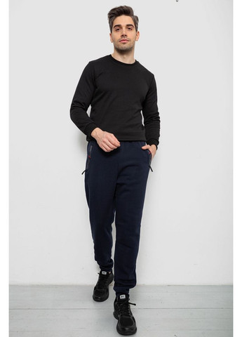 Спортивні штани чоловічі на флісі Ager 244R41558 (365247987)