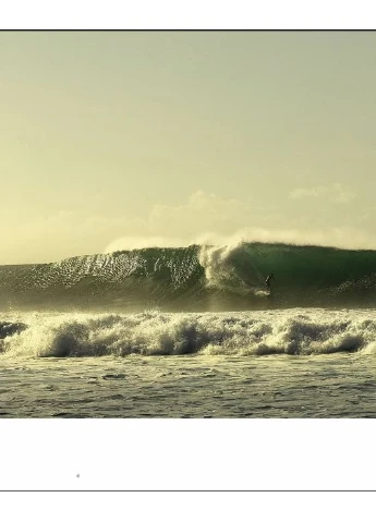 Waves. Pro Surfers and Their World Abrams (370073948)