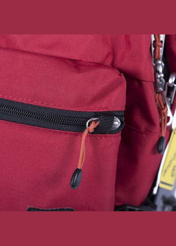 Рюкзак Pacsafe (335405181)