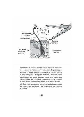 Энциклопедия дошкольника "Анатомия для детей" 154101 No Brand (329894427)