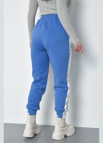 Спортивні штани жіночі на флісі блакитного кольору Let's Shop (285779393)