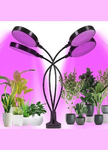 Фитолампа USB для роста растений на 4 лампы Круглые, светодиодная LED фито лампа на прищепке светильник для цветов и рассады No Brand (337509346)