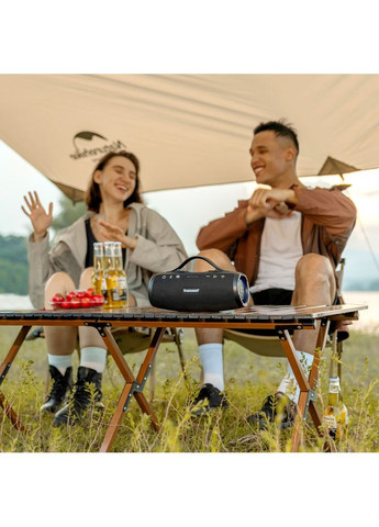 Портативна акустика Mirtune S100 Black (1120931) Tronsmart (323100125)