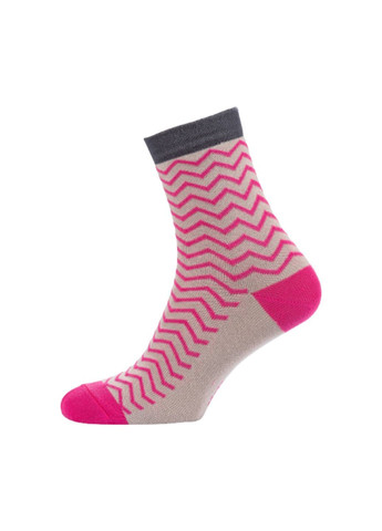 Бежеві набір (5 шт) жіночих шкарпеток Siela (302517171)