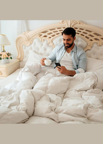 Ковдра Raffaello 052 зима 140x205 см 8061819 Mirson (316614125)