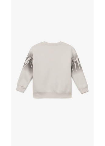 First Kids світшот з принтом для хлопчика m-189 140 см shop (2000999198465) сірий повсякденний