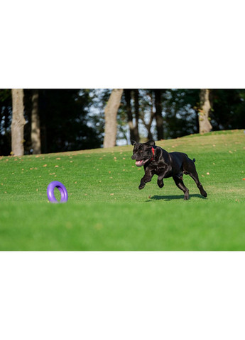 Тренировочный снаряд для собак Puller (282591403)