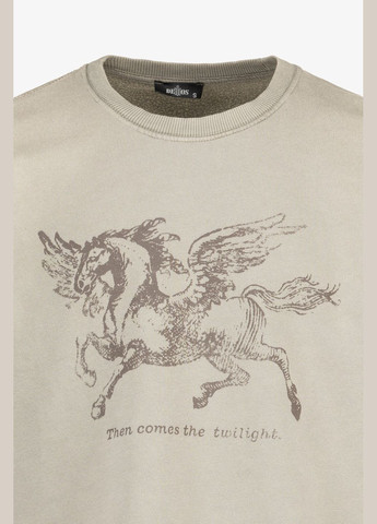 Хакі світшот з принтом чоловічий -34 shop (2000990785688) Demos (315994661)