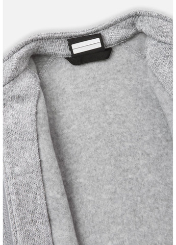 Серый демисезонный комплект флисовый Reima Tahto