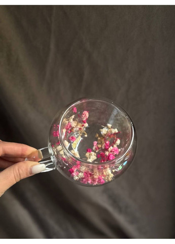 Набір чашок Спекотне літо з подвійним дном та сухоцвітами у стінках 2 шт 270 мл Прозорий VT-5327-270 Vittora (362711672)