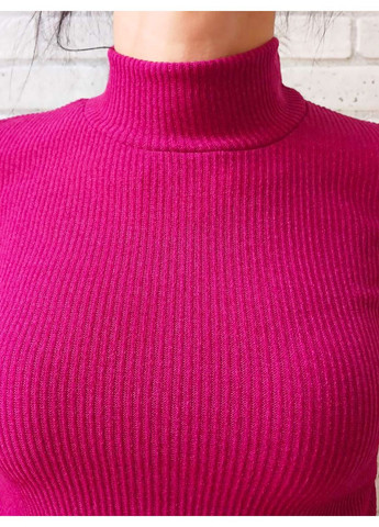 Жіноча водолазка з високим горлом, базовий гольф з вирізом для пальця, тонкий малиновий рубчик No Brand (368883025)