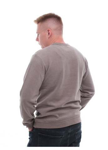 Бежевий демісезонний джемпер чоловічий бежевий комір мис джемпер Bagarda Пряма