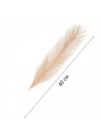 Пампасна трава, гілочка штучна, China (366874855)