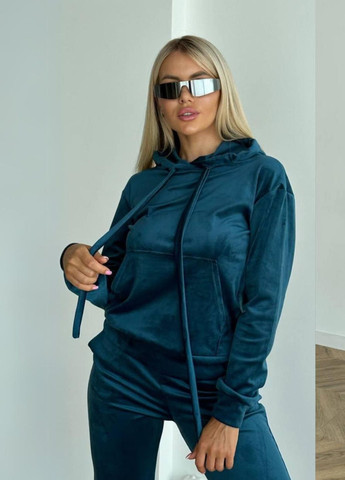 Стильний велюровий костюм No Brand (295264464)