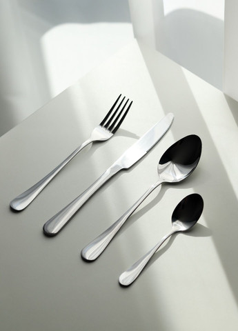 Набор столовых предметов серебро на 6 персон 24 предмета No Brand (331173259)